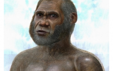 Red Deer Cave man