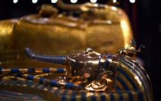 King Tut's wet nurse could be his sister