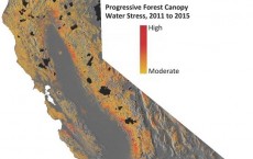 California Drought