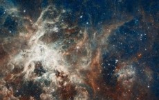 Hubble's Panoramic View of a Star-Forming Region