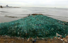 Plastic waste in world's oceans threatens marine life 