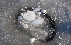 Frozen Methane Bubbles In Water 