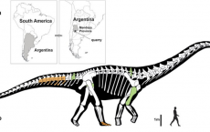  Gigantic Titanosaurian Sauropod Dinosaur