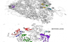 Layers Of The Neolithic Burial 