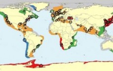 Jellyfish Abundance in the World's Oceans