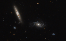 Spiral Galaxy 'LO95 0313-192'