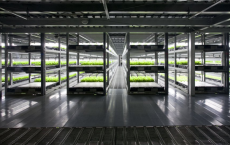 Robot Run Farm To Produce 30,000 Heads Of Lettuce Daily 