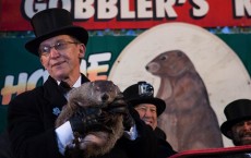 Punxsutawney Phil