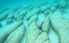 Stromatolites