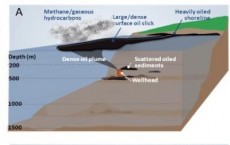 Model of Deepwater Blowout