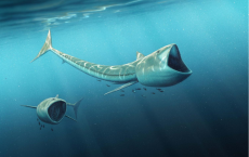 'Rhinconichthys' - Big-Mouthed Fish From Cretaceous Period
