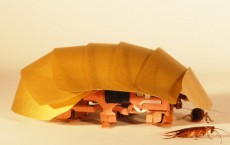 Robotic Cockroach