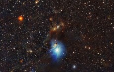 IC 2631