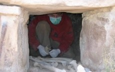 Forensic Science Used to Determine Who's Who in Pre-Columbian Peru