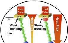 Atomic Heat Transfer