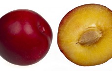 plums 