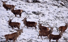 Snow And Ice Warnings As Cold Weather Front Approaches