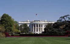 The White House 