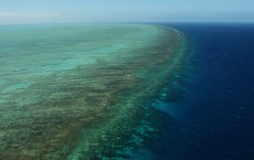 The Great Barrier Reef