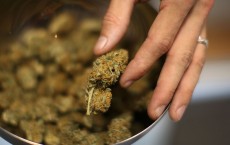 Los Angeles To Not Enforce Ban On Marijuana Dispensaries