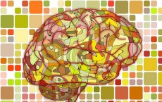 Brain Mapping