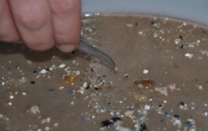 Microplastic Debris