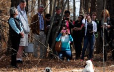 'Island Of Lemurs: Madagascar' Lemur Week Event At The Duke Lemur Center