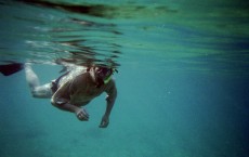 Dad Snorkel Black Rock Maui