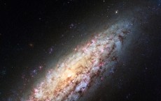 Dwarf Spiral Galaxy