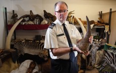 UK Border Force Crack Down On Trade Of Endangered Species