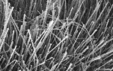 Sol-flame Decorated Nanowires