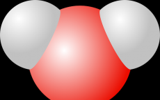 Water Molecule