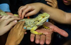 Rome Bioparco Launch 'Getting In Touch With Nature' Educational Area