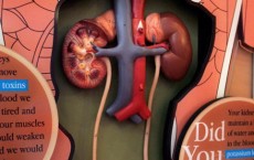 Nation's First Kidney Mobile Offers Free Kidney Screenings