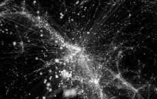 The Network Behind the Cosmic Web