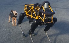 Real Dog Meets Robot Dog