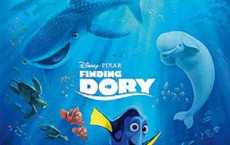 Finding Dory