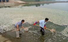 Pollution Kills Thousands Of Fish In Wuhan 