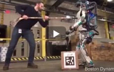 This Is A Real Robot,Not A Man In A Robot Suit.