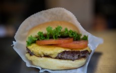 Shake Shack Burger Chain Considers I.P.O.