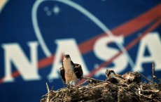 NASA Prepares For Final Launch Of Space Shuttle Endeavour