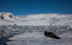 Antarctica