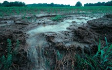 Agricultural pollution