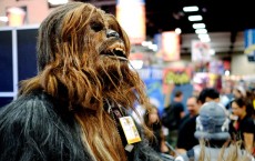 Chewbacca costume