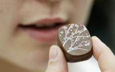 Japanese Consumers Enjoy The Health Benefits of Dark Chocolate 