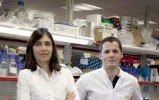 Maria A. Blasco and Bruno M. Bernardes de Jesus, Centro Nacional de Investigaciones Oncologicas