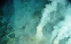 Hydrothermal Vents