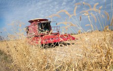 Iowa Farmers Harvest Crops As Colder Weather Brings Season's End Near