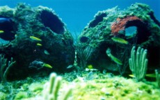 Cremated Remains Used To Help Create Artificial Reef Credit: Getty Images / Handout