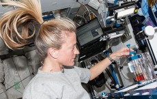 Scientific Experiment Onboard the International Space Station 